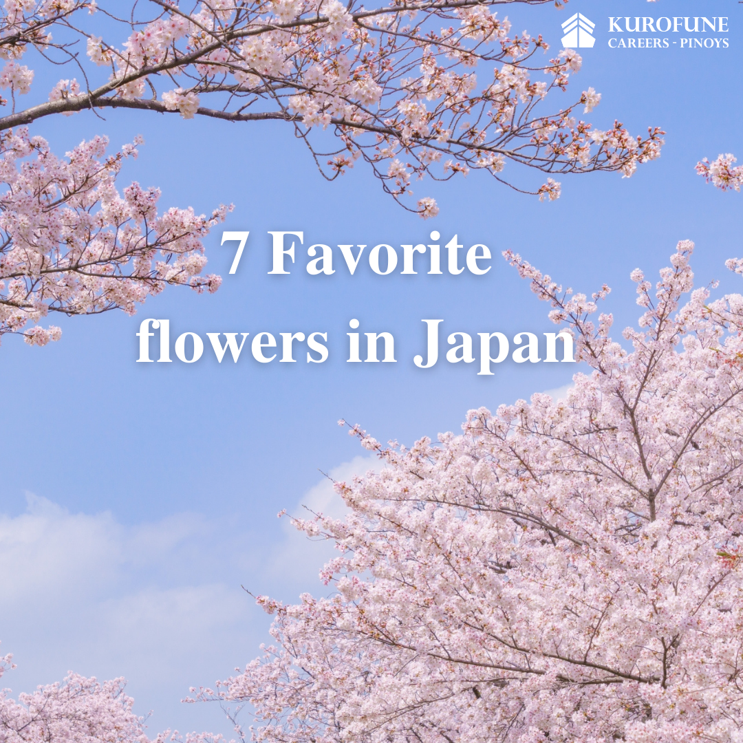 7 Favorite flowers in Japan